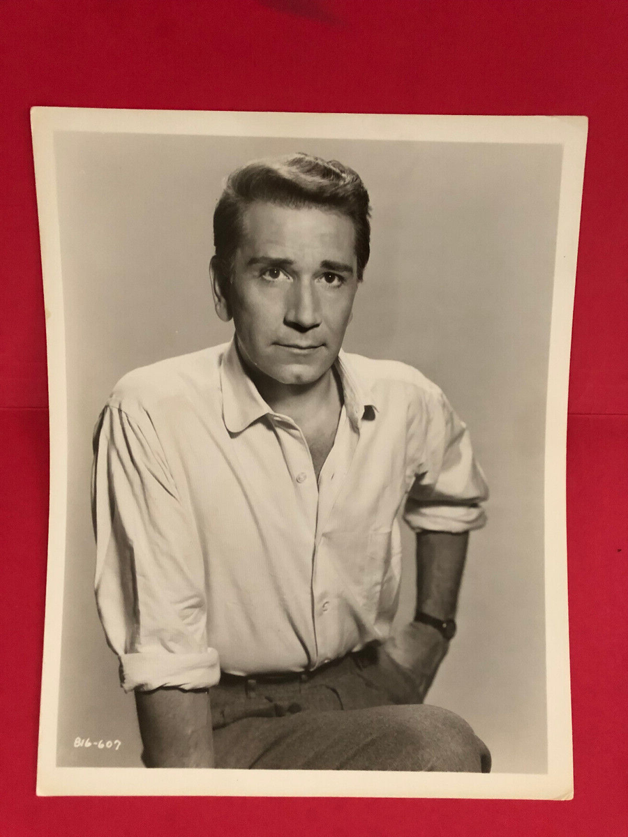 Conte Actor Actor Richard Conte 60 Photos - Moonagedaydream.film