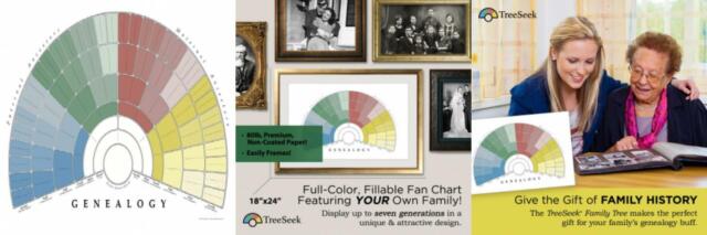 Treeseek Genealogy Fan Wall Chart