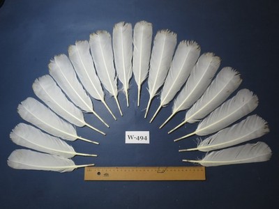 16 Stück weiße Truthahnschwanzfedern, Fliegenbindematerial (Faser 40-50 mm) (W-494)
