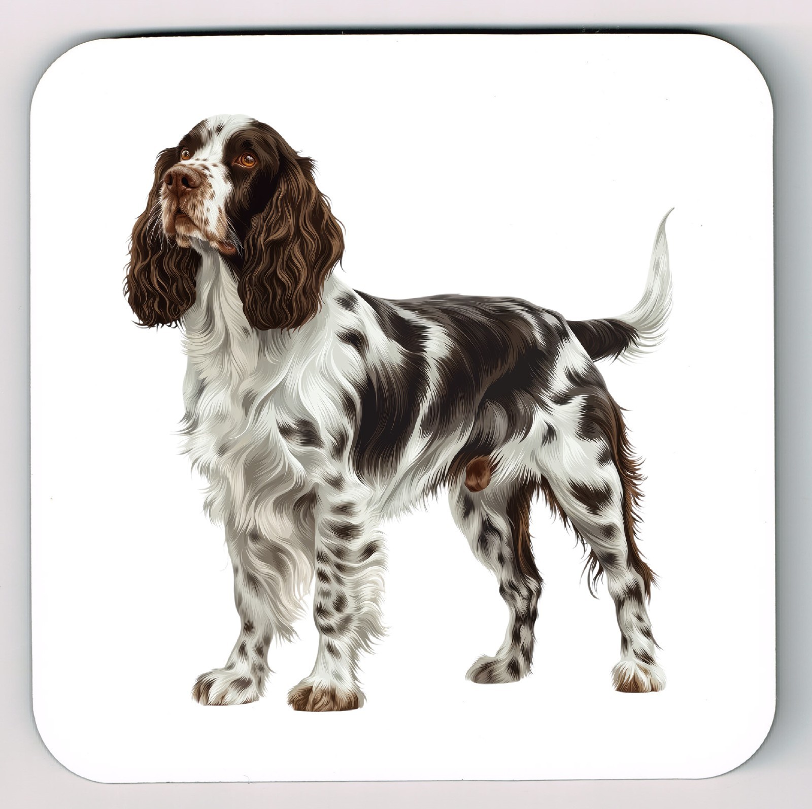 English Springer Spaniel Watercolour Image Coaster, Springer Spaniel Coaster