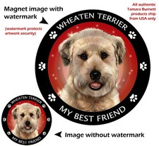 Wheaten Terrier My Best Friend Dog Car Magnet