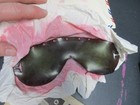 Vintage US Military Goggles M-1944 Post War Goggles, Box, Extra Lenses — photo 8
