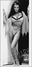 Sexy Lily The Munster Portrait High Quality Metal Magnet 2.5 x 5 Fridge 8886