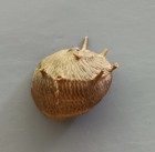 Picture 2 of 4