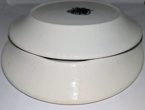 2 Vtg Portmeirion Plates African Daisy Botanic Garden x2 Dinner Plate 1972 VGC ! - Bild 16 von 21