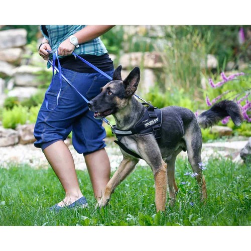 Julius K9 Front Control Belt mit D-Ring Power & IDC Belt Harnesses kompatibel - Bild 12 von 16