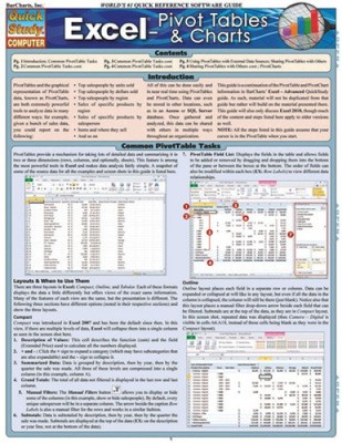 Excel: Pivot Tabellen & Diagramme (Schnellstudie: Computer) von Hales, John