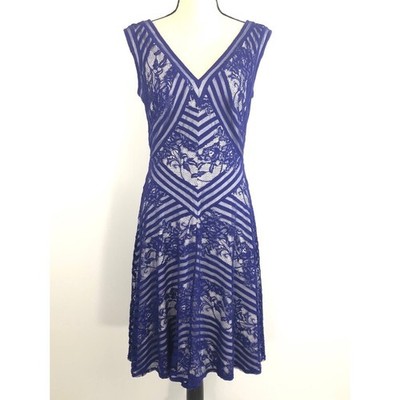 Tadashi Shoji Lace Dress Size 8 Blue White Floral Striped A-Line