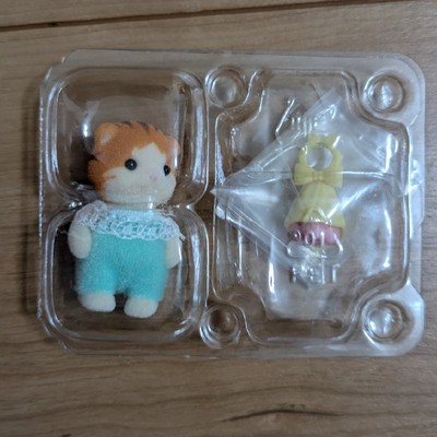 Maple cat baby Sylvania