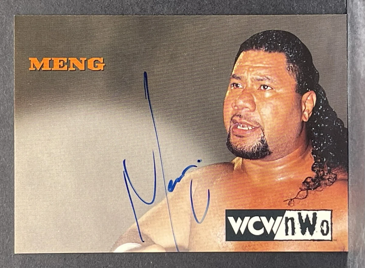 World Wrestling Championship (WCW) Wrestling Autographed Sports