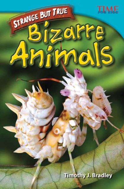 Strange but True: Bizarre Animals by Timothy Bradley (Paperback Book)