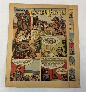 1947 four page cartoon story ~ US ARMY CAMEL CORPS