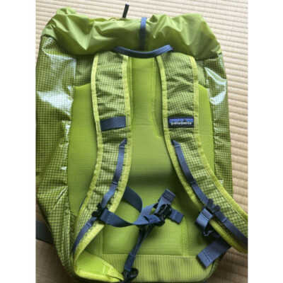 patagonia Lightweight Black Hole™ Cinch Pack 20L w/Tags [EXC] LTD