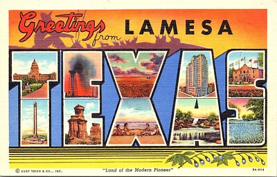 Postcard TX Multiple Scenes Large Letter Greetings La Mesa Land Modern Pioneer