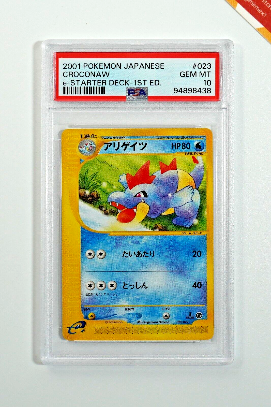 ワニノコ eカード アンリミ PSA PSA10 連番 ワニノコ スターターパック