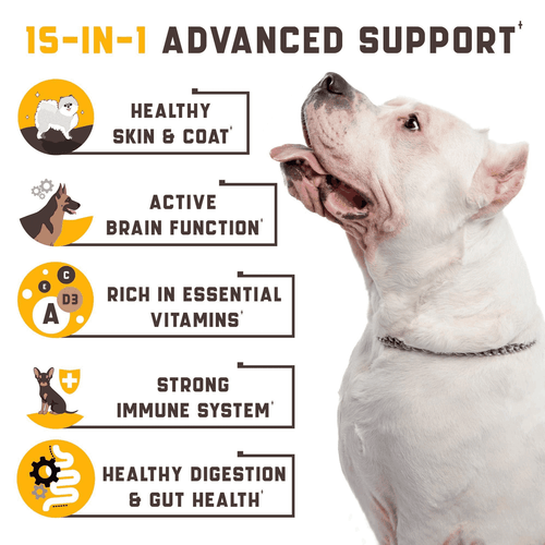 15 in 1 Dog Multivitamin Supplements   Immunity Digestion Joint and Heart Health - Picture 2 of 6