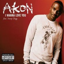 I Wanna Love You von Akon feat. Snoop Dogg | CD | Zustand gut