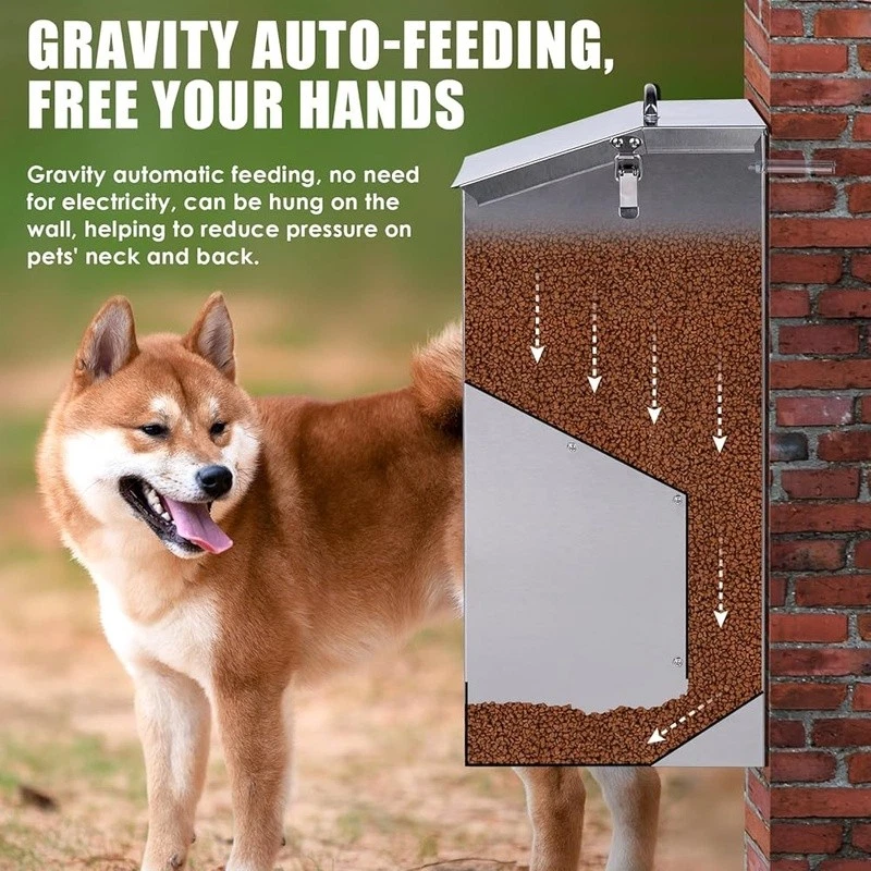 Alimentador automático por gravedad de acero inoxidable para perros de gran capacidad para uso en interiores y exteriores Foto 4 de 4