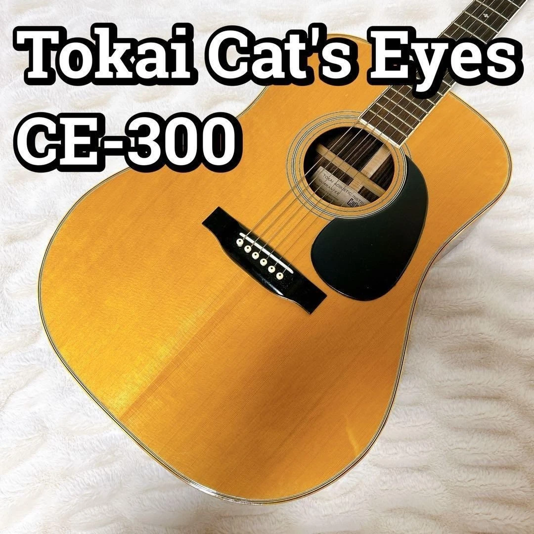 Tokai Acoustic Guitars for sale | eBay