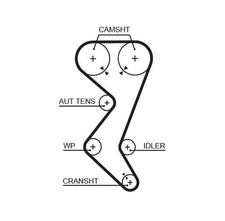 Courroie de distribution Citroen EVASION