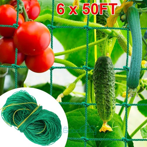 Garden Plant Climbing Net Trellis Netting Mesh Support Fruits Vine Veggie Bean - Picture 21 of 35