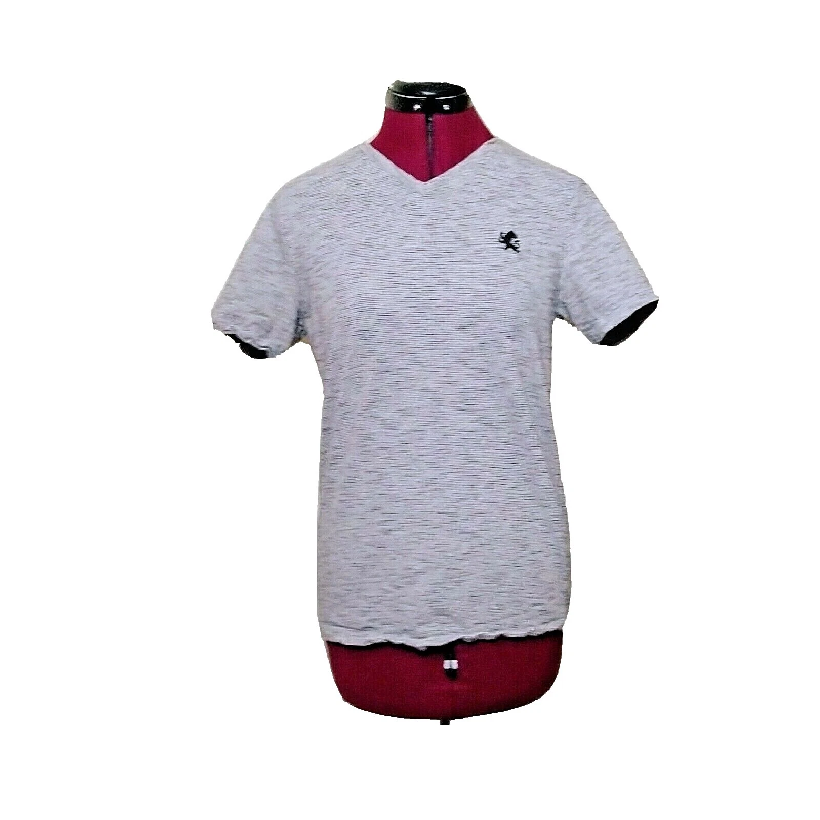 Express V-neck T-Shirts for Men