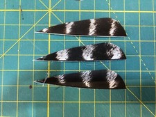 3" Left Wing Parabolic Natural Barred Feather Fletching, 25Pk Archery     