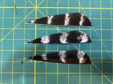 3" Left Wing Parabolic Natural Barred Feather Fletching, 25Pk Archery 🇺🇸