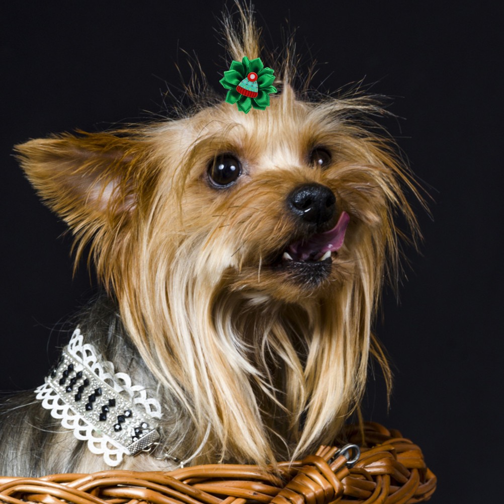 30 Pcs Accessori Per Cani Cane Fasce Capelli Durevoli Fermagli Peli Di foto 6