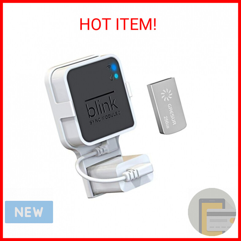 256GB USB Flash Drive for Local Video Storage with The Blink Sync Module 2 Mount-image