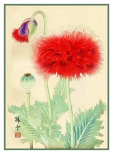 Asian Flower Chigusa Soun Poppy Orenco Originals Counted Cross Stitch Pattern