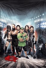 WWE Armageddon Reversible Full Bed Set Fitted Comforter Pillowcases Wrestling