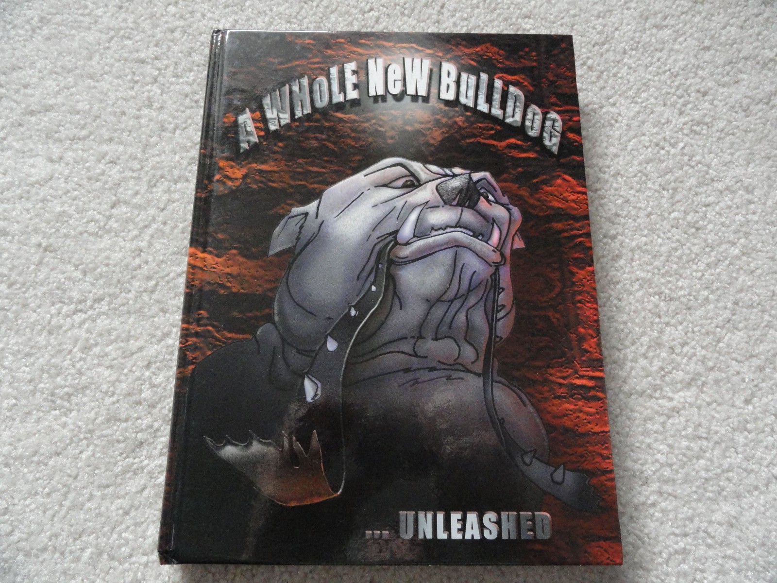 2003 Woodridge High School Yearbook from Ohio eBay