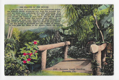 #ad Sarasota Jungle Gardens Sarasota Florida Payer of the Woods Postcard $3.95