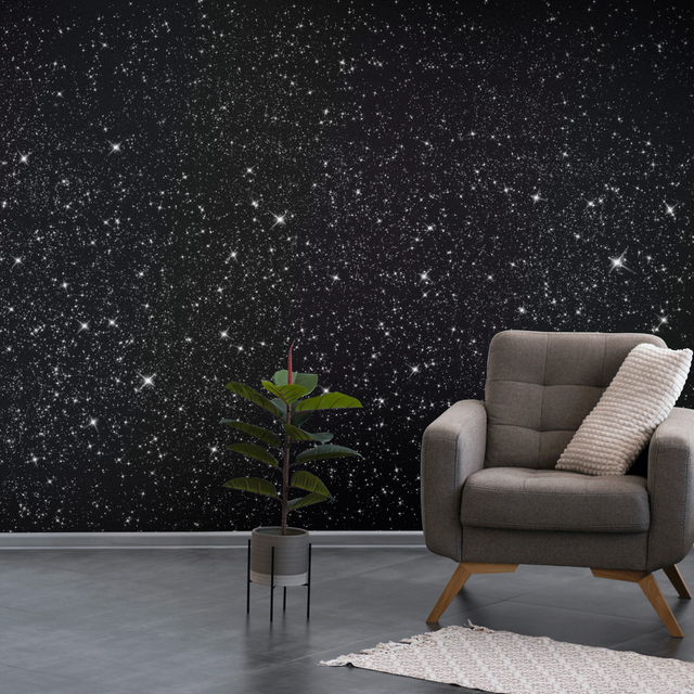 Hemway Glitter Paint Black Wall Ceilings Furniture Emulsion Wallpaper