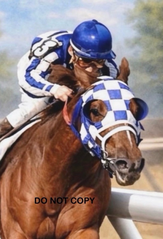 SECRETARIAT RACEHORSE MATTED PRINT HORSE THOROUGHBRED PAINTING COPY ART 8”x 10”