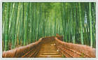 Bild 165 von 239