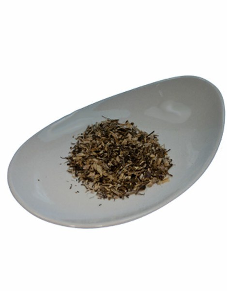 (55,20Eur/Kg) Sena-Premium Geschnittene Purpursonnenhutwurzel (500G)-image
