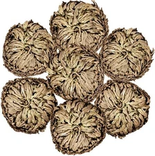 7 Pack Rose of Jericho Dried Plants - Rosa de Jerico Original, Dried Fern Lik...