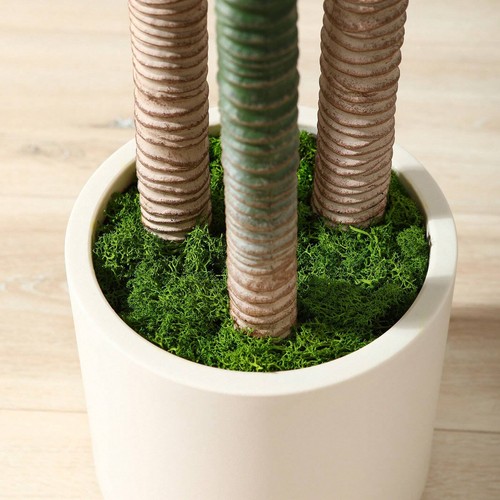 6FT Artificial Dracaena Tree With Large White Planter,Faux-Lightning Deals - Picture 6 of 6
