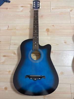 Rosefinch AGT16 Acoustic Guitar Blue