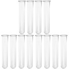  3 Pack Glass Bud Vase Test Tube Indoor Hydroponic Decor Flower Tubes