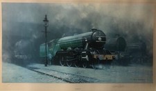 Scotsman 34