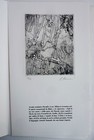 Foto 5 di 5