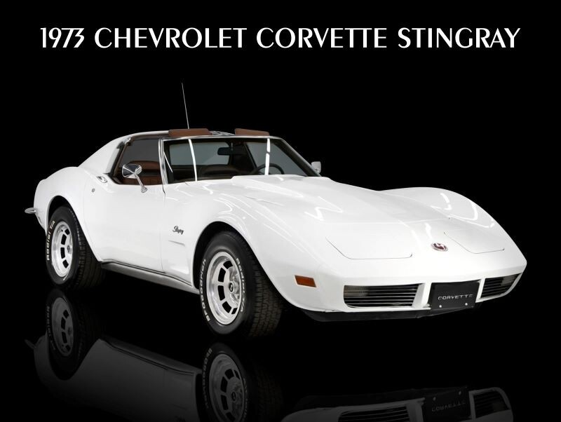 1973 Chevrolet Corvette Stingray NEW METAL SIGN: Mint