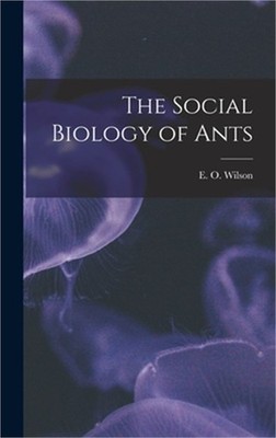 The Social Biology of Ants (Hardback or Cased Book)