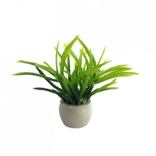 Dolls House Plant In Pot (D4251) - 1:12 Scale Miniatures | Minimum World