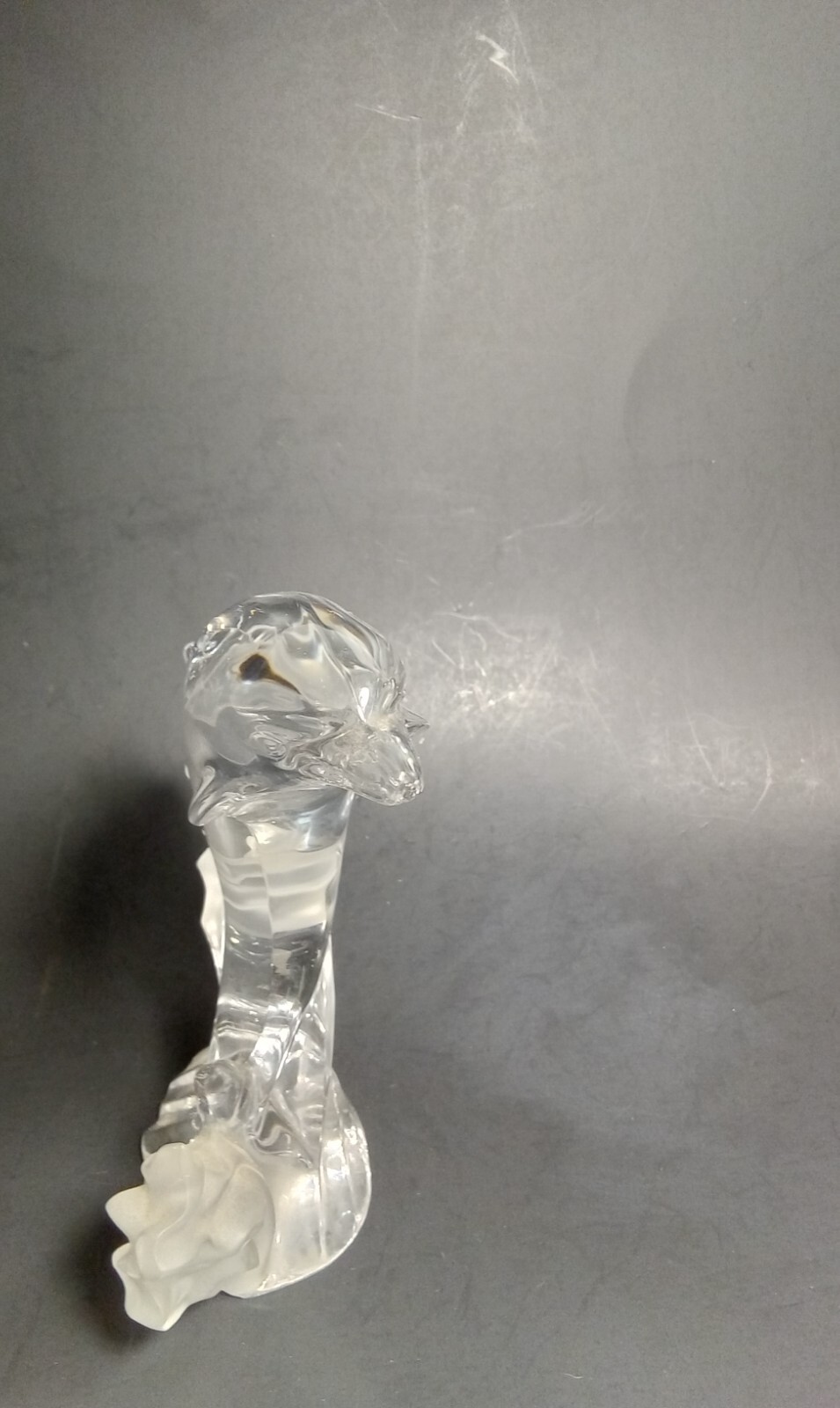Picture 14 of 21