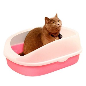 anti dog litter box