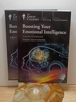 The Great Courses: Boosting Your Emotional Intelligence by Jason M. Satterfield